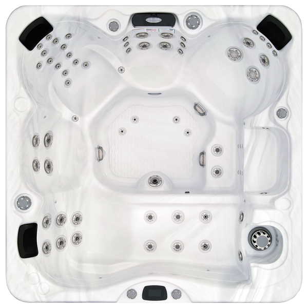 Avalon-X EC-867LX hot tubs for sale in Schaumburg
